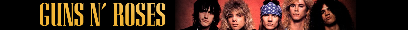 GUNS N ROSES - CATEGORIA