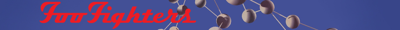 FOO FIGHTERS HALF BANNER