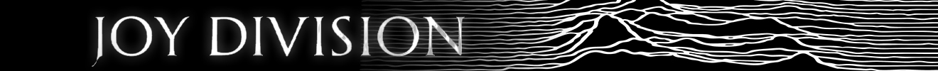 JOY DIVISION - CATEGORIA