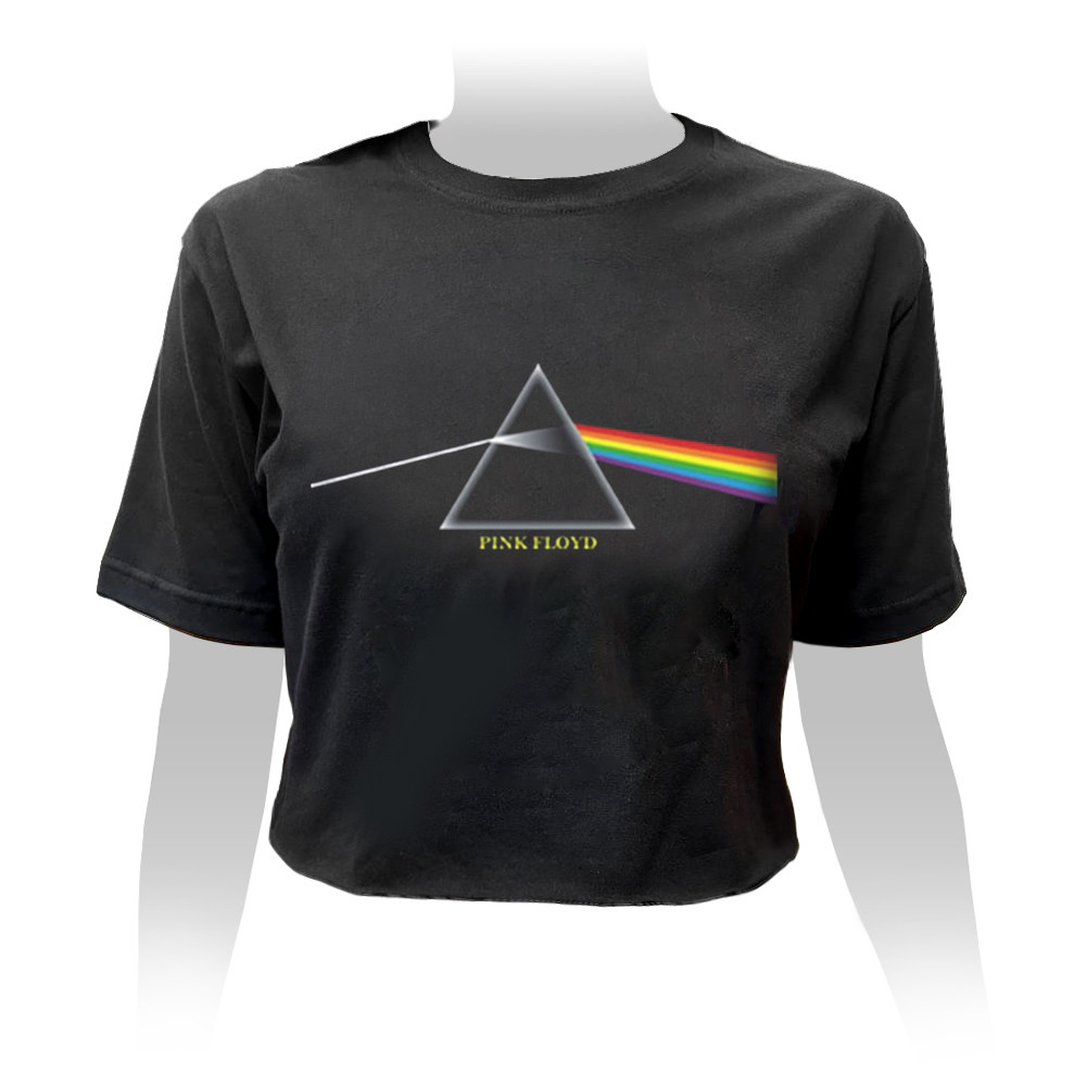 Cropped Pink Floyd Dark Side of the Moon